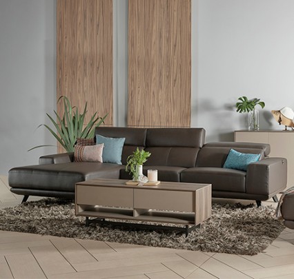 leather sofa